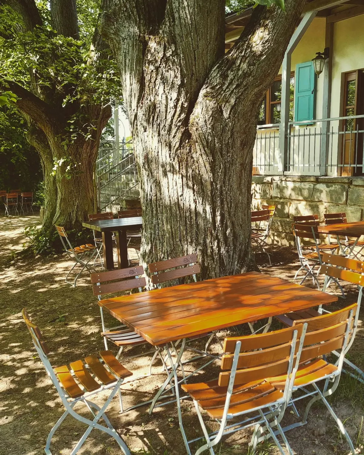 Blick in den grünen Biergarten unter den alten Linden